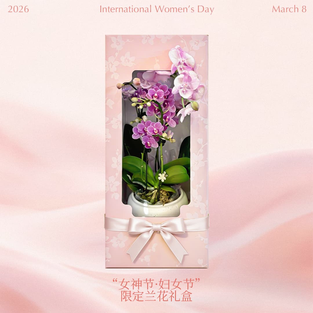 花慕兰品牌主视觉